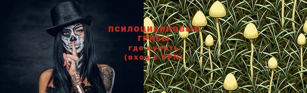 MESCALINE Арсеньев