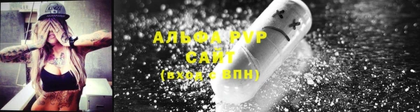 СК Аркадак