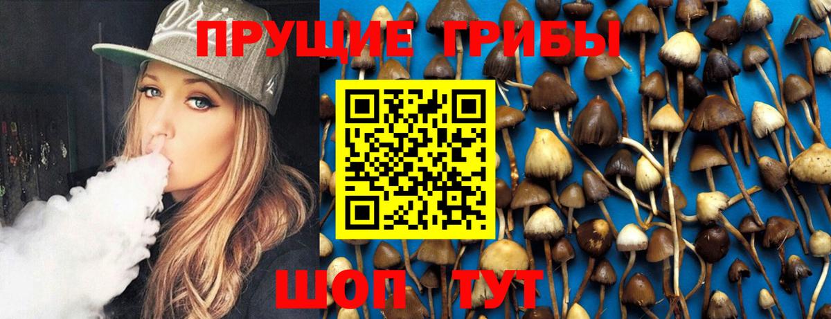 Псилоцибиновые грибы GOLDEN TEACHER Мурманск