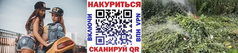 OMG   Мурманск  Бошки Шишки сатива 